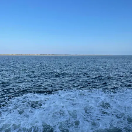 Nordseestar * Несмерзиль