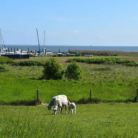 Holiday home Nordseestar Nessmersiel