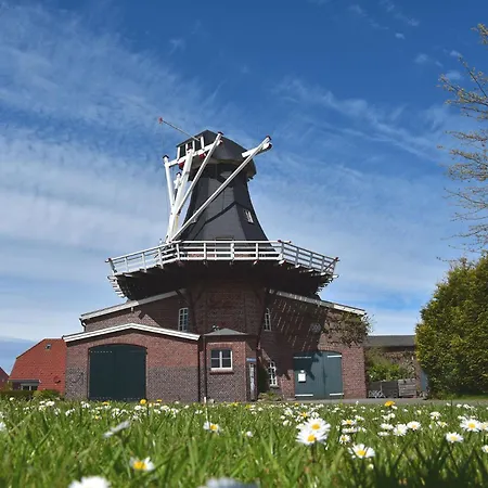 Nordseestar Dom wakacyjny *